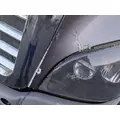 FREIGHTLINER Cascadia 125 Hood thumbnail 4