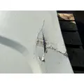 FREIGHTLINER Cascadia 125 Hood thumbnail 6