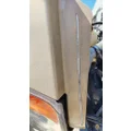 FREIGHTLINER Cascadia 125 Hood thumbnail 12