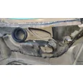 FREIGHTLINER Cascadia 125 Hood thumbnail 20