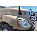FREIGHTLINER Cascadia 125 Hood thumbnail 6