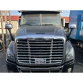 FREIGHTLINER Cascadia 125 Hood thumbnail 1