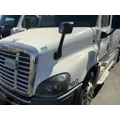 FREIGHTLINER Cascadia 125 Hood thumbnail 3