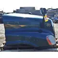 FREIGHTLINER Cascadia 125 Hood thumbnail 4
