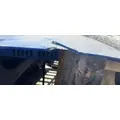 FREIGHTLINER Cascadia 125 Hood thumbnail 14