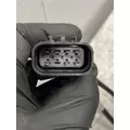 FREIGHTLINER Cascadia 125 Mirror (Side View) thumbnail 7