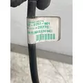 FREIGHTLINER Cascadia 125 Mirror (Side View) thumbnail 9
