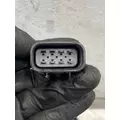 FREIGHTLINER Cascadia 125 Mirror (Side View) thumbnail 7