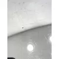 FREIGHTLINER Cascadia 125 Mirror (Side View) thumbnail 12