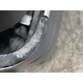 FREIGHTLINER Cascadia 125 Mirror (Side View) thumbnail 13