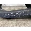FREIGHTLINER Cascadia 125 Mirror (Side View) thumbnail 9