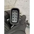 FREIGHTLINER Cascadia 125 Mirror (Side View) thumbnail 7