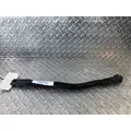 FREIGHTLINER Cascadia 125 Radiator Core Support thumbnail 4