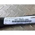 FREIGHTLINER Cascadia 125 Radiator Core Support thumbnail 5