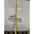 FREIGHTLINER Cascadia 126 Next Gen Hood thumbnail 7