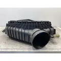 FREIGHTLINER Cascadia 126 Air Cleaner thumbnail 6