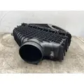 FREIGHTLINER Cascadia 126 Air Cleaner thumbnail 2