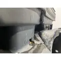 FREIGHTLINER Cascadia 126 Bumper Assembly, Front thumbnail 13