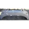FREIGHTLINER Cascadia 126 Bumper Assembly, Front thumbnail 11
