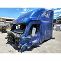 FREIGHTLINER Cascadia 126 Cab Assembly thumbnail 2