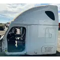 FREIGHTLINER Cascadia 126 Cab Assembly thumbnail 10