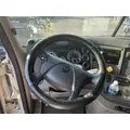 FREIGHTLINER Cascadia 126 Cab Assembly thumbnail 6