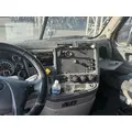 FREIGHTLINER Cascadia 126 Cab Assembly thumbnail 7