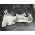 FREIGHTLINER Cascadia 126 Cowl thumbnail 2