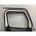 FREIGHTLINER Cascadia 126 Door Assembly, Front thumbnail 9