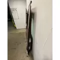 FREIGHTLINER Cascadia 126 Door Assembly, Front thumbnail 6