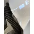FREIGHTLINER Cascadia 126 Door Assembly, Front thumbnail 15
