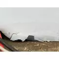 FREIGHTLINER Cascadia 126 Door Assembly, Front thumbnail 17