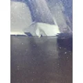 FREIGHTLINER Cascadia 126 Door Assembly, Front thumbnail 13