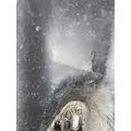 FREIGHTLINER Cascadia 126 Fender Extension thumbnail 9