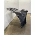 FREIGHTLINER Cascadia 126 Fender Extension thumbnail 4