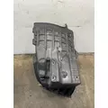 FREIGHTLINER Cascadia 126 Fender Extension thumbnail 5