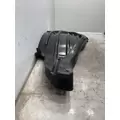 FREIGHTLINER Cascadia 126 Fender Extension thumbnail 4