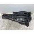 FREIGHTLINER Cascadia 126 Fender Extension thumbnail 5
