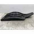 FREIGHTLINER Cascadia 126 Fender Extension thumbnail 6