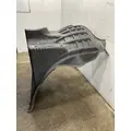 FREIGHTLINER Cascadia 126 Fender Extension thumbnail 3