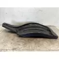 FREIGHTLINER Cascadia 126 Fender Extension thumbnail 2