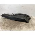 FREIGHTLINER Cascadia 126 Fender Extension thumbnail 2