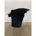 FREIGHTLINER Cascadia 126 Fender Extension thumbnail 6