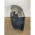 FREIGHTLINER Cascadia 126 Fender Extension thumbnail 2