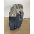 FREIGHTLINER Cascadia 126 Fender Extension thumbnail 2