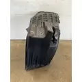 FREIGHTLINER Cascadia 126 Fender Extension thumbnail 2