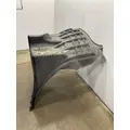 FREIGHTLINER Cascadia 126 Fender Extension thumbnail 3