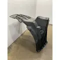 FREIGHTLINER Cascadia 126 Fender Extension thumbnail 4