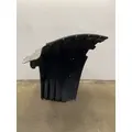 FREIGHTLINER Cascadia 126 Fender Extension thumbnail 5