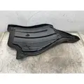 FREIGHTLINER Cascadia 126 Fender Extension thumbnail 7
